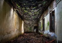 L’isola di Poveglia (l’isola dei fantasmi)