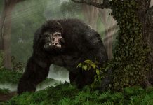 Il Bigfoot