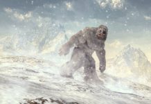 Lo Yeti